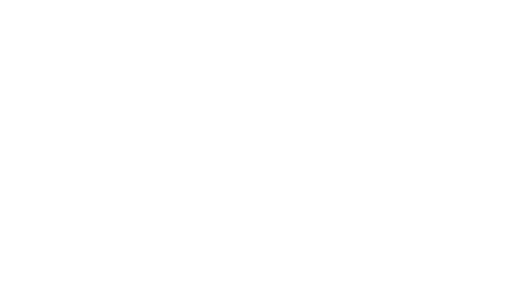 Serve Global